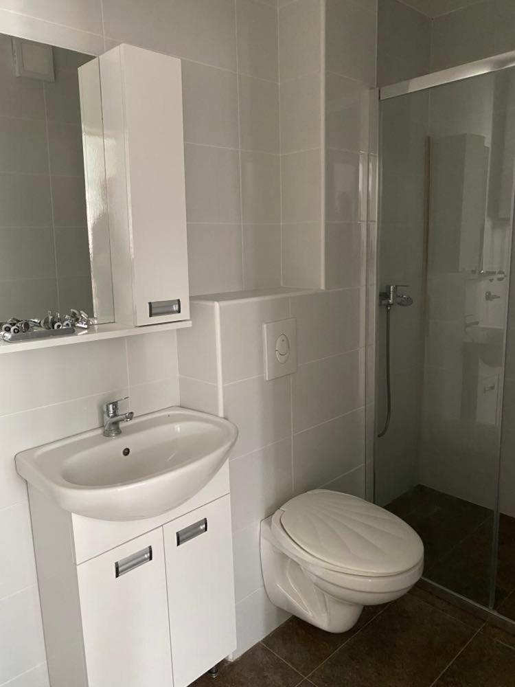 Sandra Apartmani Vrsac Luaran gambar