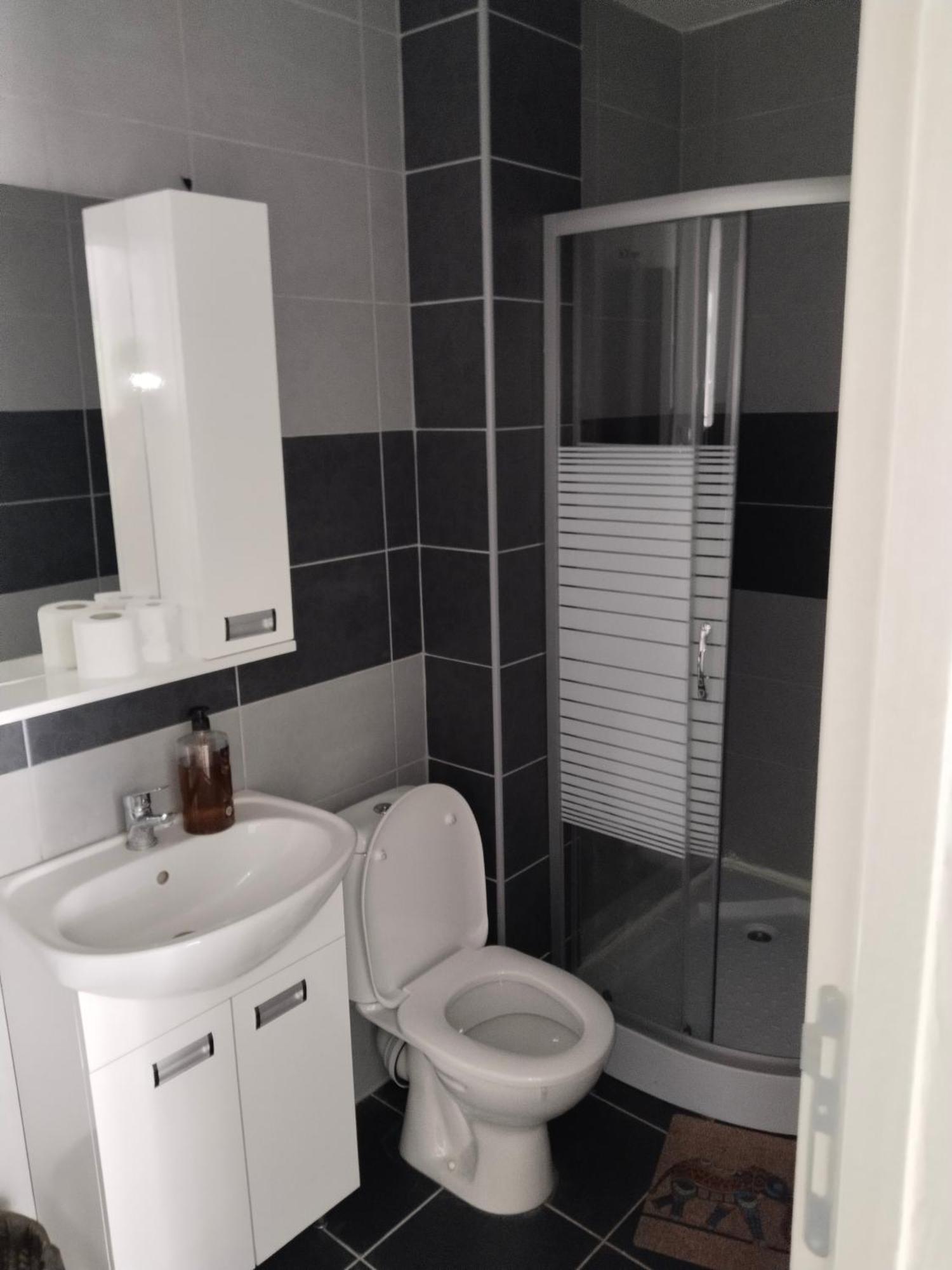 Sandra Apartmani Vrsac Bilik gambar